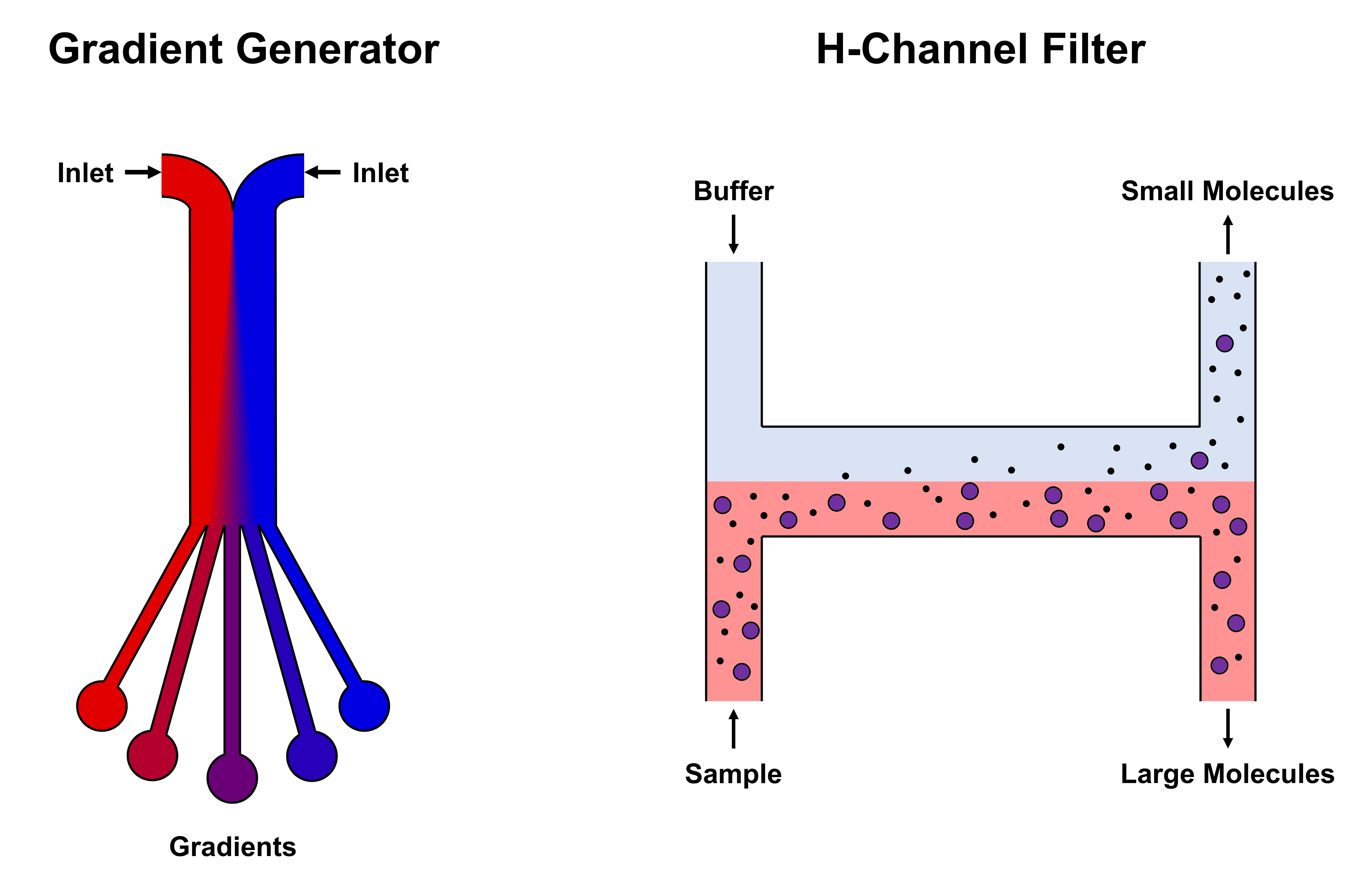 Microfluidics Doing More with Less Part 1 UC Davis Biotechnology